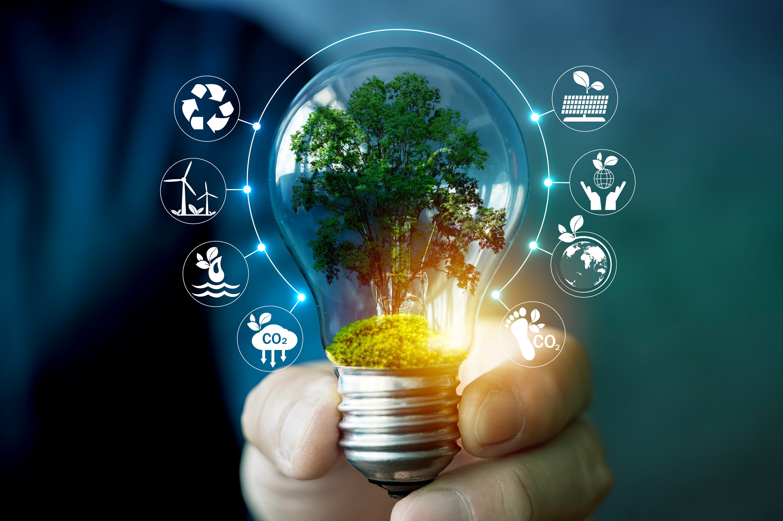A green tree growing inside a light bulb symbolizes renewable energy