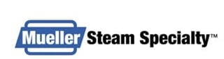 Mueller Steam Specialty logo featuring blue rounded rectangle with white text and black company name