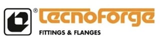TecnoForge logo with registered trademark symbol and text reading FITTINGS & FLANGES